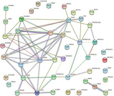 Genomic crossroads between non-Hodgkin’s lymphoma and common variable immunodeficiency